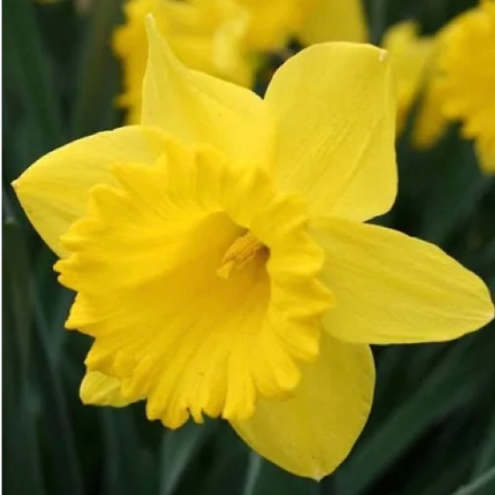 Meet your Posher, Marilyn